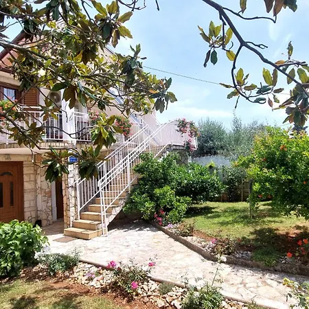 Mara House With Pensión 3*