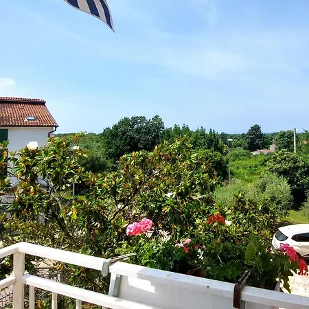 Mara House With Gostinjska kuća