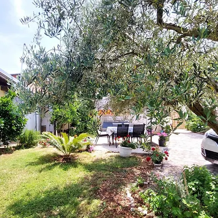 Mara House With 3*